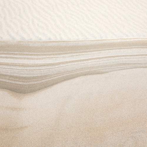 Photo #6698797