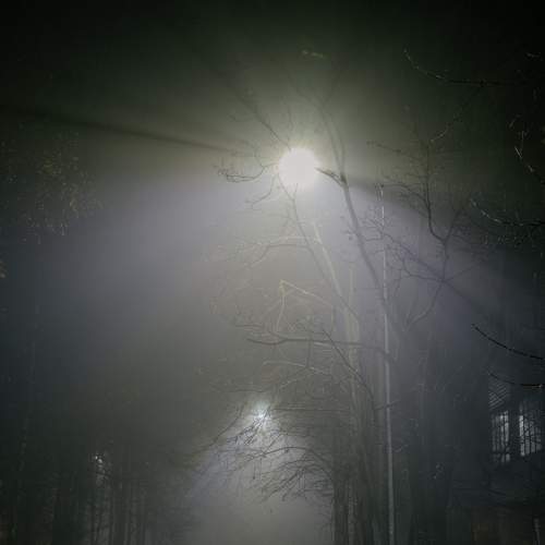 Photo #6698822