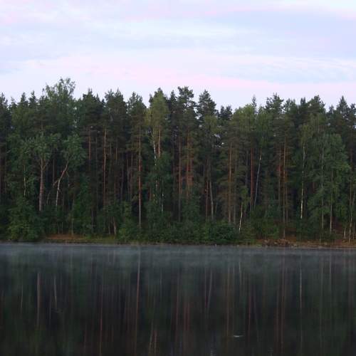 Photo #6698836