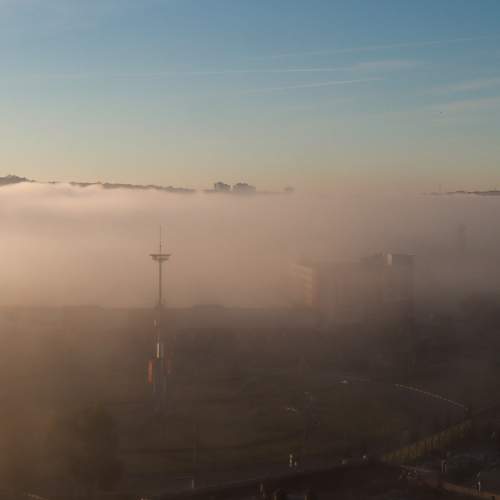 Photo #6699065