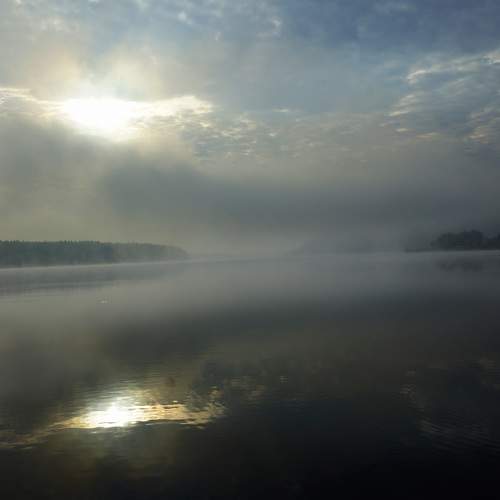 Photo #6699115