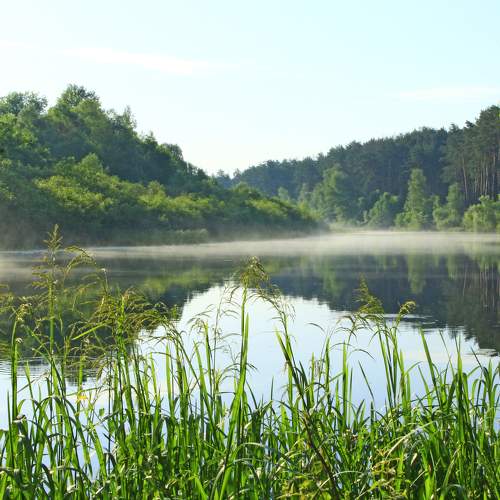 Photo #6699327