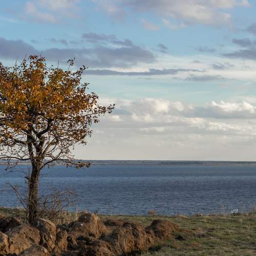 Photo #6699525