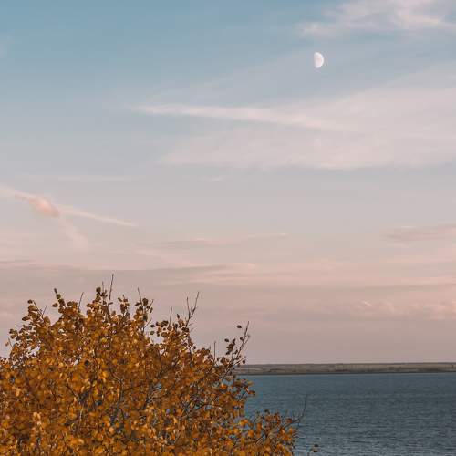 Photo #6699527