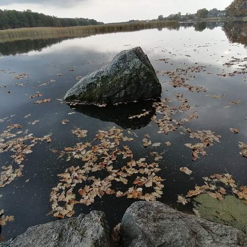 Photo #6699588