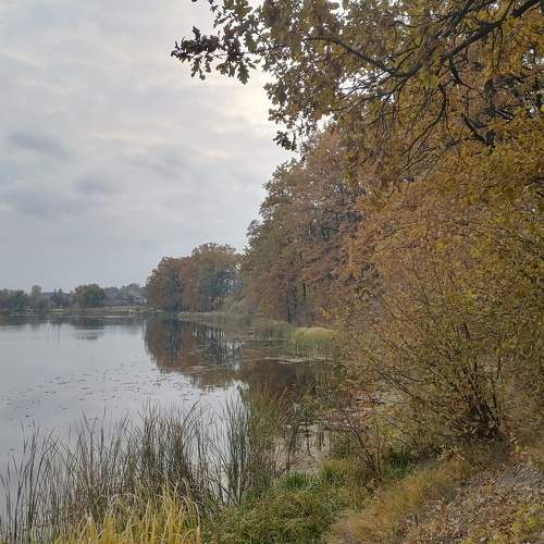 Photo #6699601