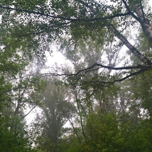 Photo #6699641