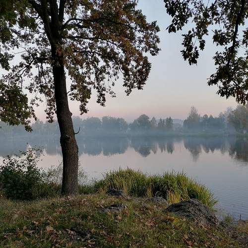 Photo #6699693
