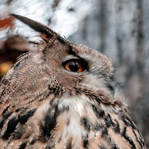 Photo #6699902