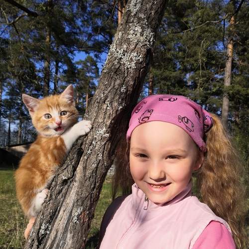 Photo #6699982