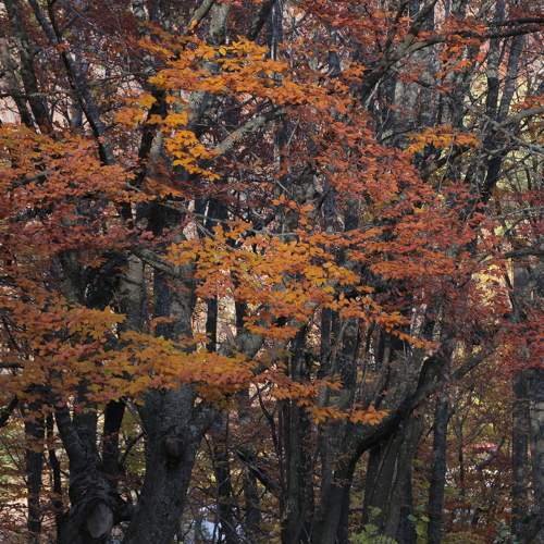Photo #6700032