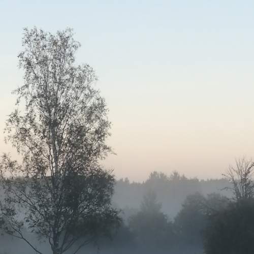 Photo #6700080