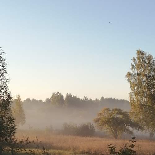 Photo #6700081