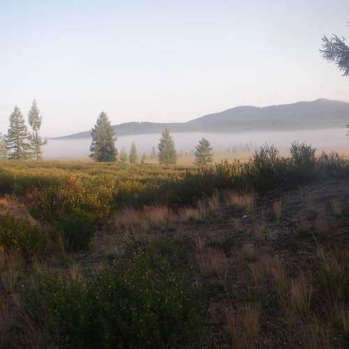 Photo #6700103