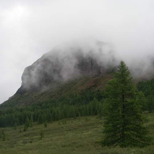 Photo #6700116