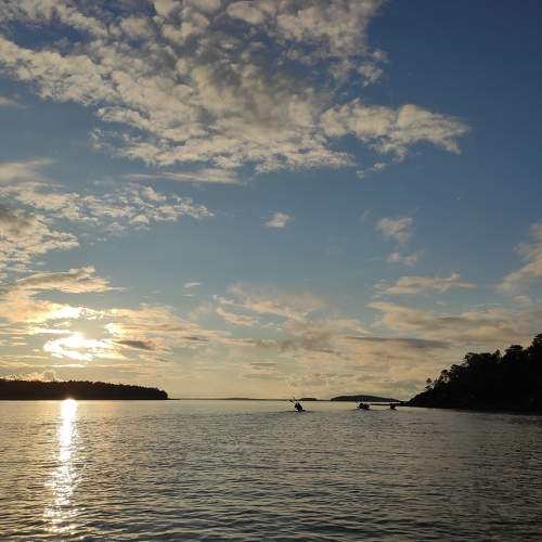 Photo #6700405