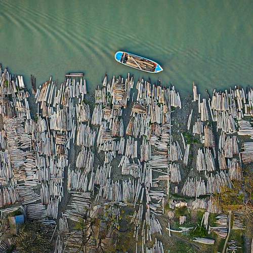 Photo #6700452