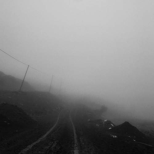 Photo #6700788