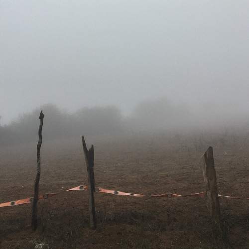 Photo #6700792