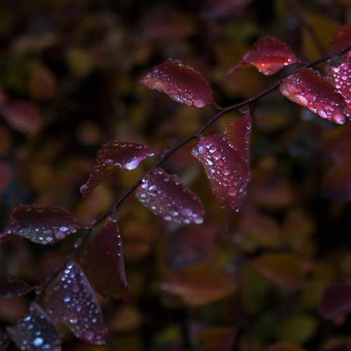 Photo #6700944