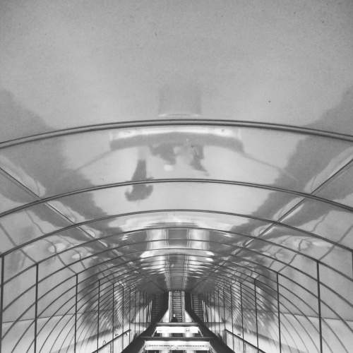 Photo #6700990