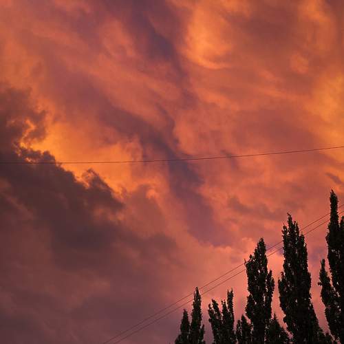 Photo #6701141