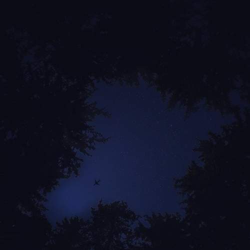 Photo #6701145