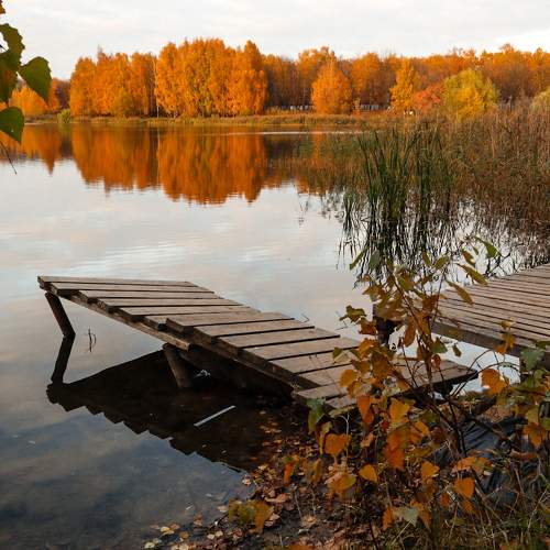 Photo #6701318