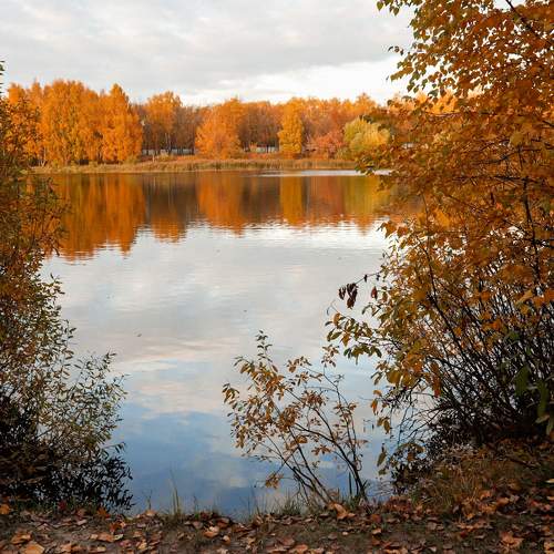 Photo #6701320