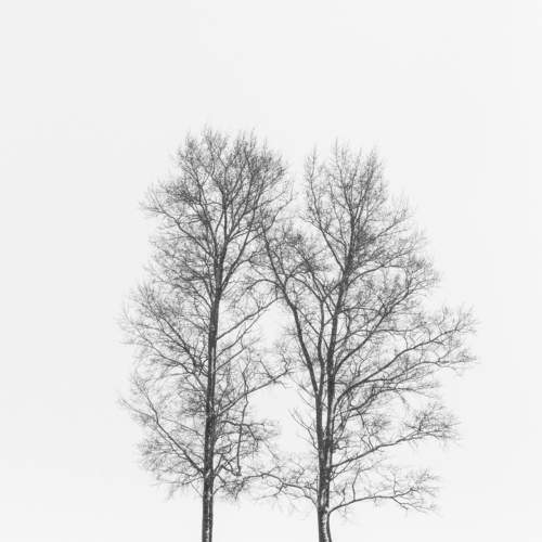 Photo #6701965