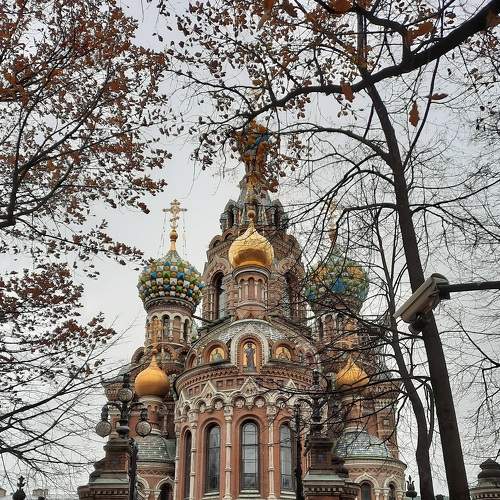 Photo #6702065