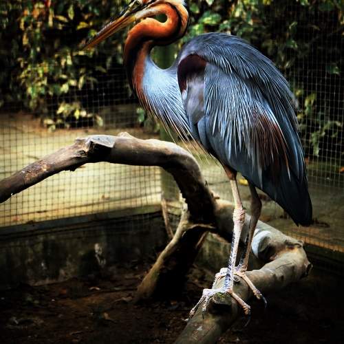 Photo #6702240