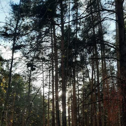 Photo #6702384