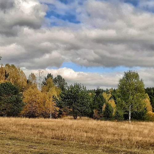 Photo #6702400