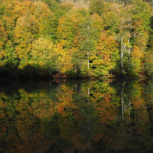 Photo #6702439