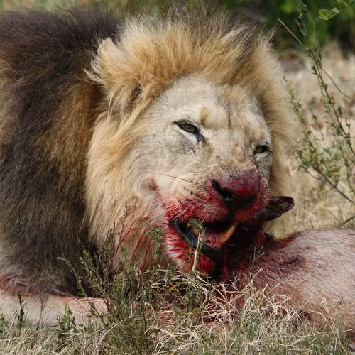 Photo #6702523