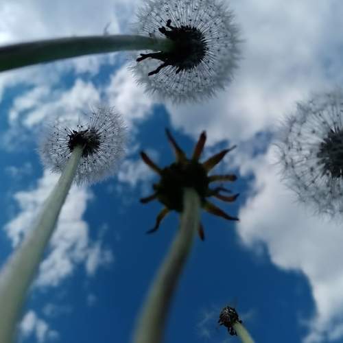Photo #6702532