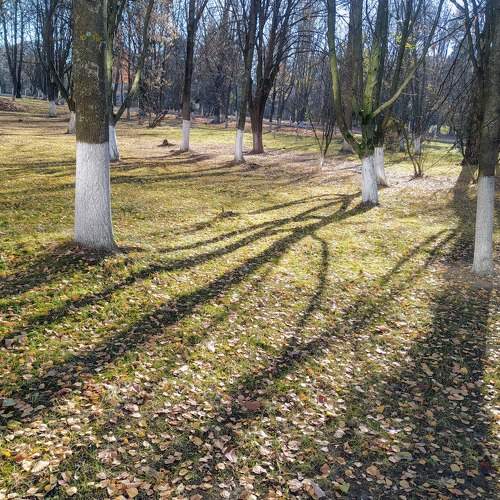 Photo #6702762