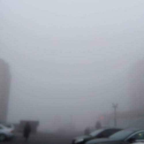 Photo #6702795