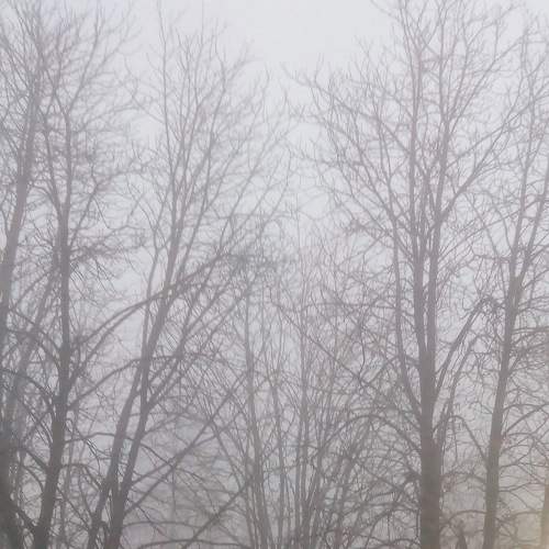 Photo #6702803