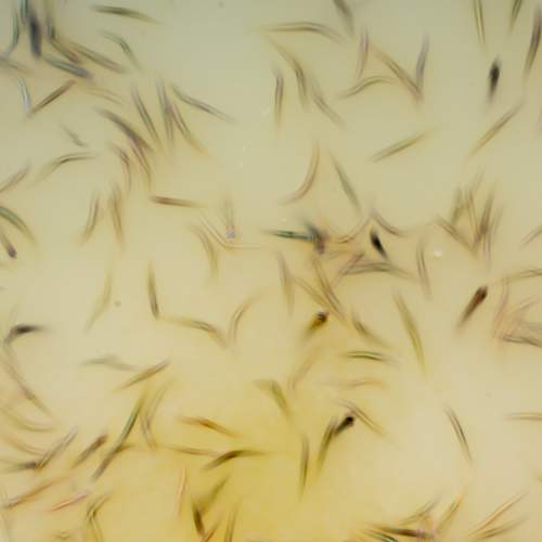 Photo #6703009