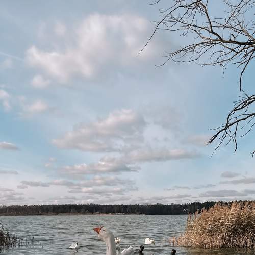 Photo #6703116