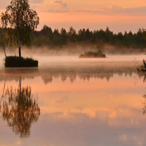 Photo #6703532