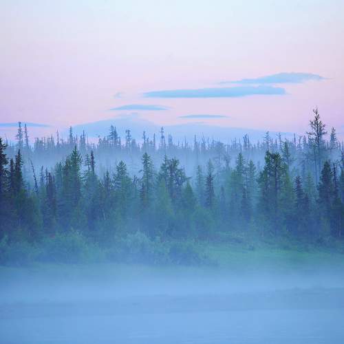 Photo #6703556