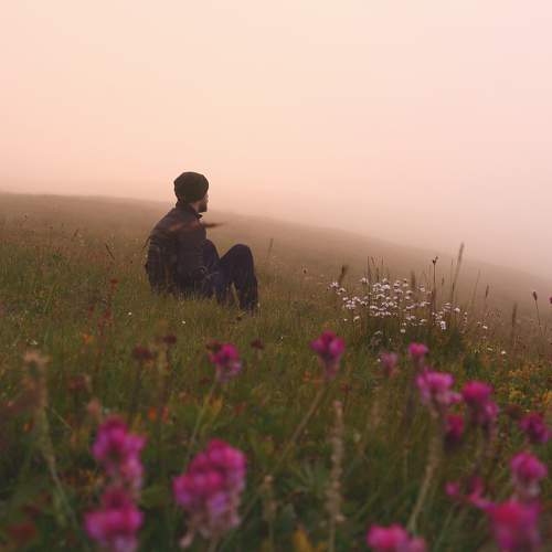 Photo #6703607