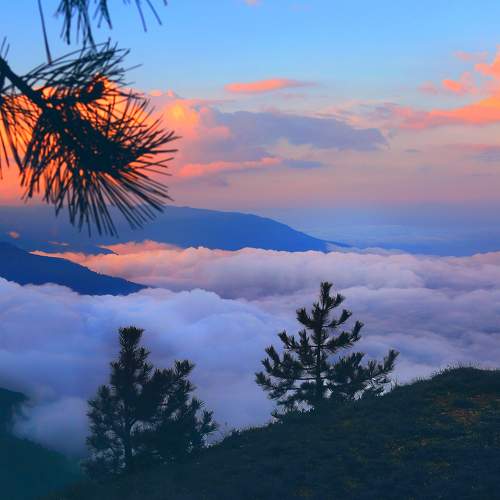 Photo #6703623