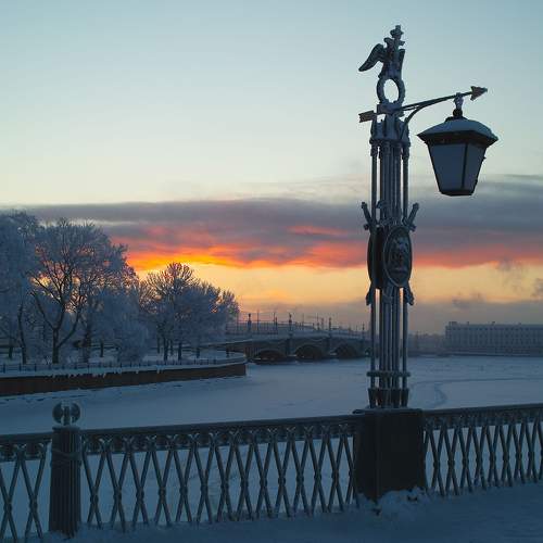 Photo #6703830