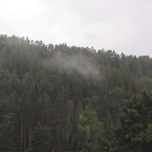Photo #6703962