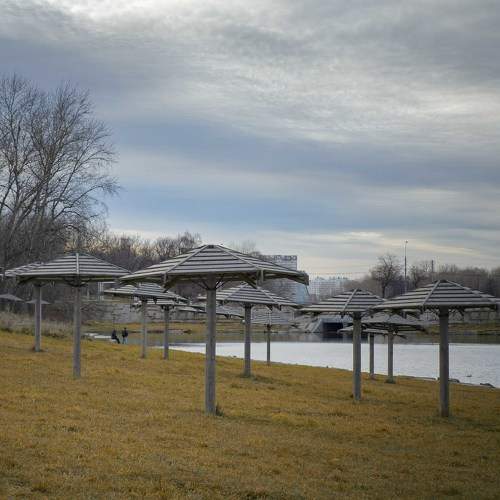 Photo #6704184