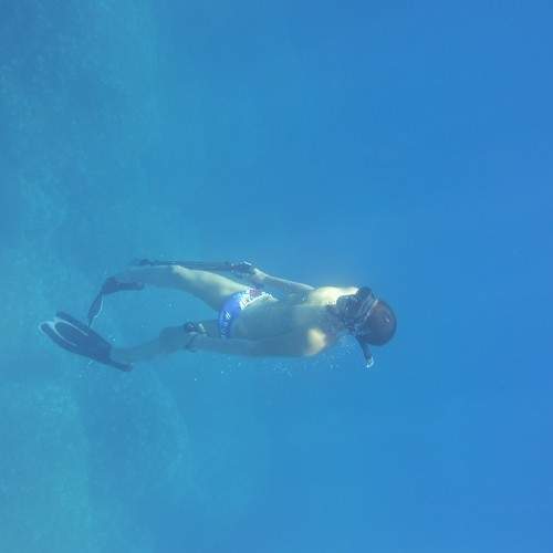 Photo #6704506